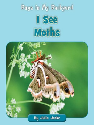 cover image of I See Moths